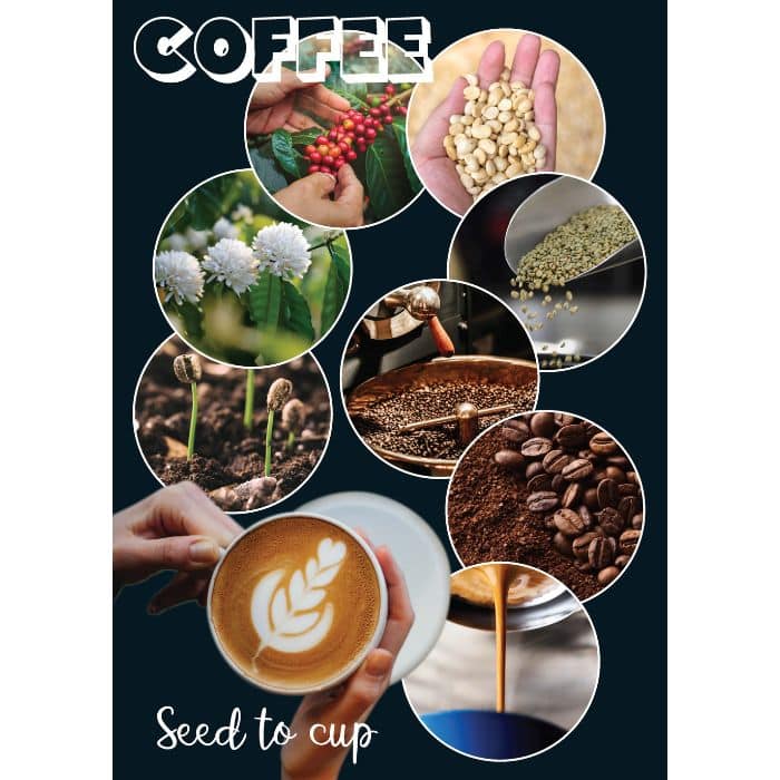 Coffee Poster with dark background showing seed to cup process