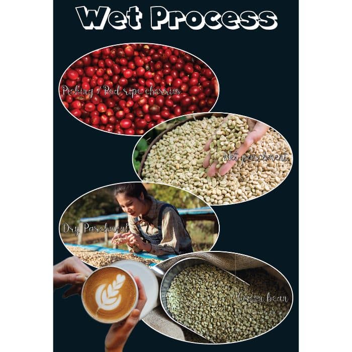 Coffee Poster showing Wet Process