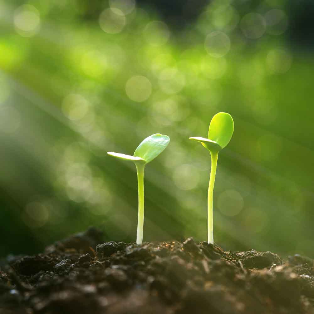 Intertype Publish and Printing is committed to Sustainable Printing